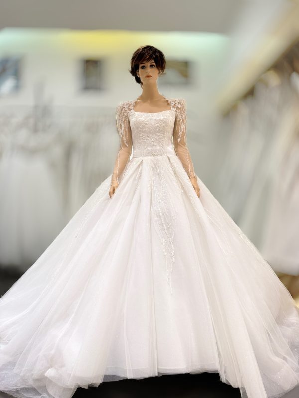 Luxury Ivory Ball Gown Wedding Dress – TL0843